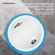 Fully Automatic Intelligent Mute Sweeping Robot